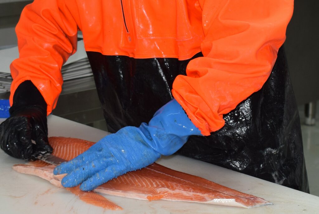 Opérateur en gants bleus filetant un saumon sur une table d’atelier – transformation de produits de la mer