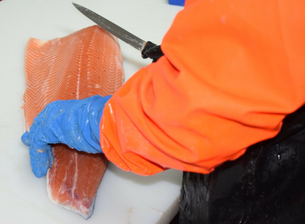 Filetage de saumon par un opérateur en gants bleus et veste orange