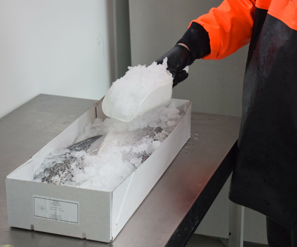 Préparation professionnelle de poisson dans l'atelier MM FISH à Wissous