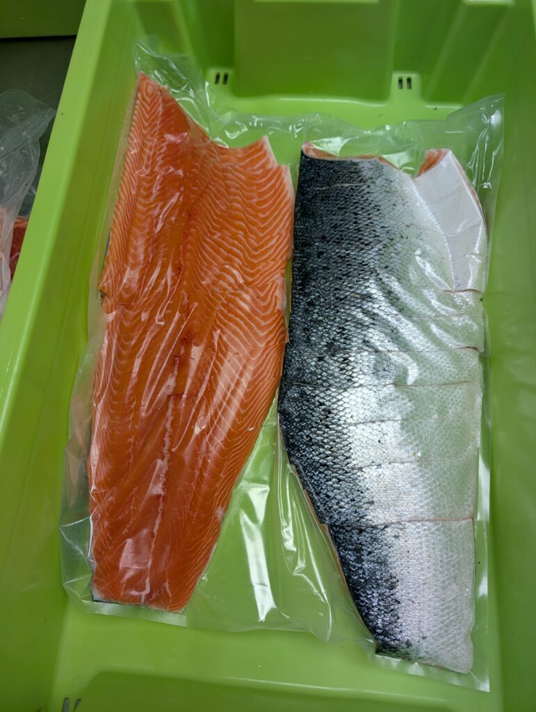 Deux préparations de poisson présentées côte à côte pour comparer un lot test de filetage chez MM FISH