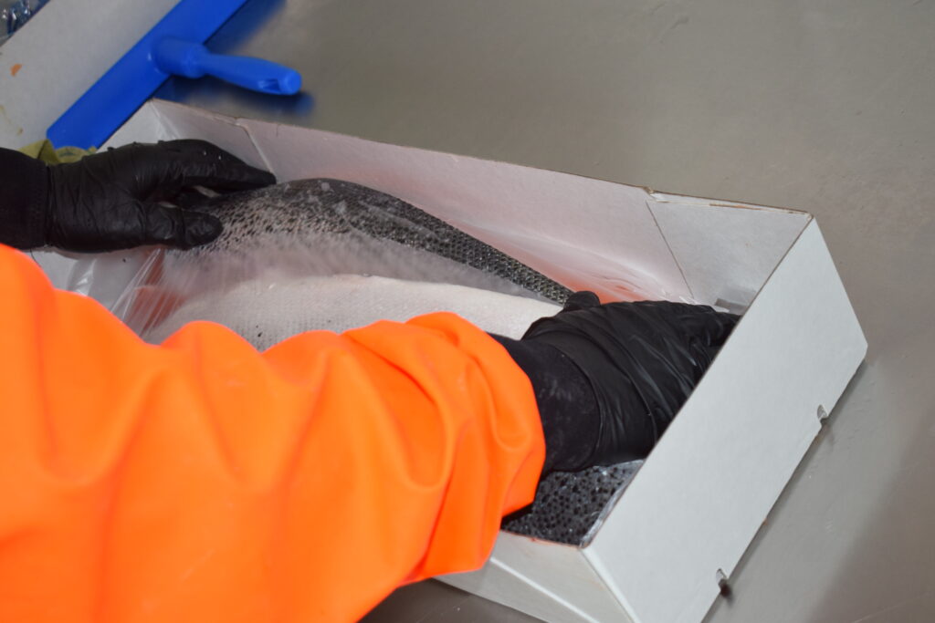 Mise en caisse du poisson préparé