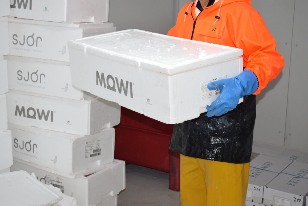 Manutention des caisses de poisson chez MM FISH